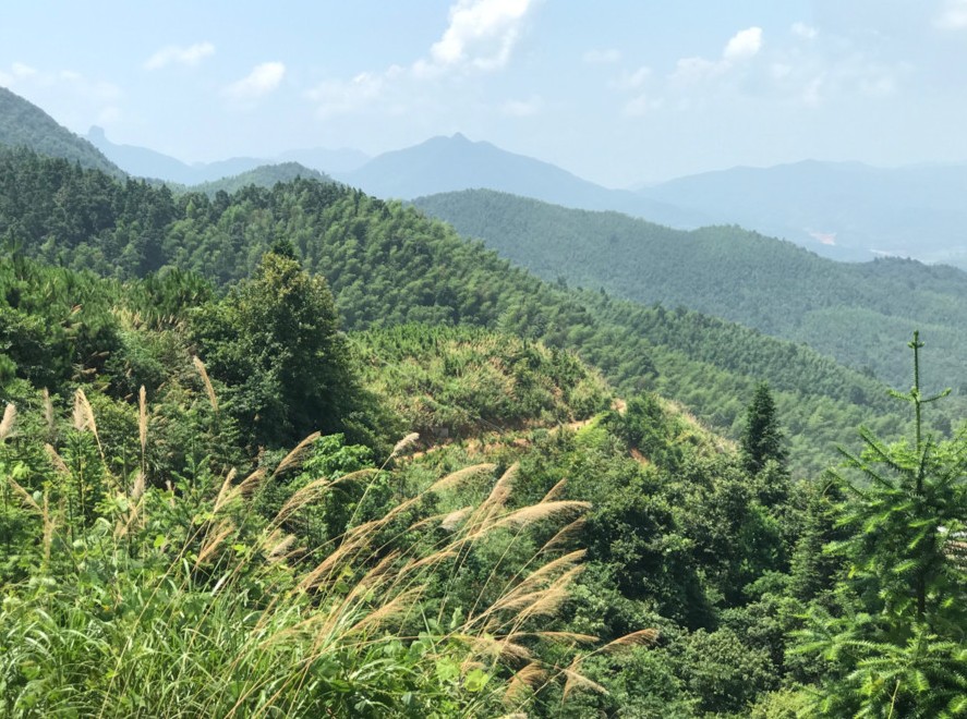 富強(qiáng)石材董事長彭宜斌：“綠色礦山——可持續(xù)發(fā)展勢在必行”演講紀(jì)實